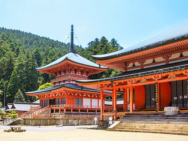 【比叡山】最澄が開いた日本仏教の母山、森の案内人と延暦寺三塔巡礼ツアー～無数の「谷」が構成する山岳宗教都市、根本中堂から最澄「衣の森」をいく～