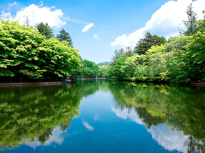 【軽井沢】森の案内人といく日本一の避暑地、モダン別荘立ち並ぶ“森の町”へ～絶景の碓氷峠、憧れの山荘建築…皇族たちが過ごす高原の別荘地～