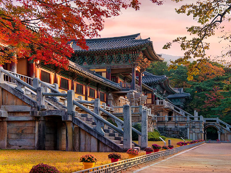 【慶州・甘浦】”韓国千年の古都”へ！大瀬さんと世界遺産都市＆温泉街ディープツアー ～新羅建築の最高峰、旧王宮、潮風と郷愁の港町…巨大古墳から日本の銭湯まで～