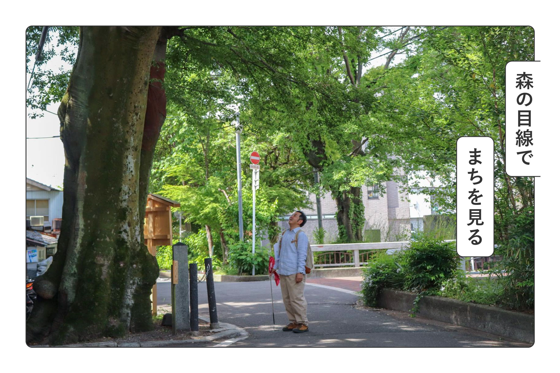 2026年9月公開