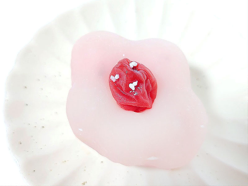 【根津】東京老舗スイーツ尽くし！和菓子ソムリエと、秋限定＆完売必至3軒食べ歩きツアー～夏目漱石の絶賛もなか、湯島天神のかわいい「ふく梅」、月替わり絶品“蒸しどら”まで～