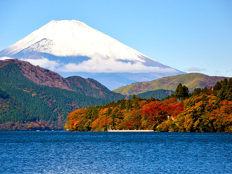 【箱根】森の案内人と絶景のカルデラ湖へ！大噴火が生んだ日本一の温泉リゾート～神々を祀る火口丘、箱根三社、毒竜の森！？紅葉の箱根トレッキング～