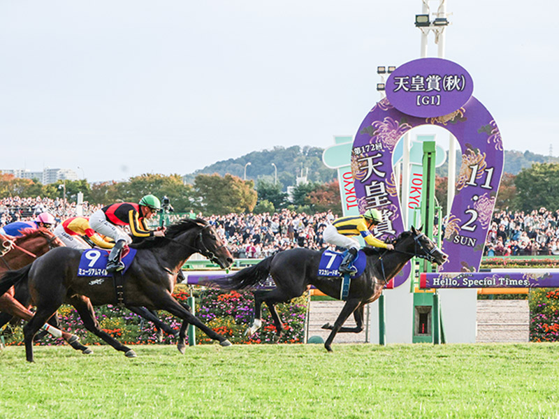 【東京競馬場】初めての東京競馬場ツアー！貸切ゲストルームで特別観戦～手に汗握るレースの駆け引き！熱戦の舞台が目の前に…バックヤード見学付き～