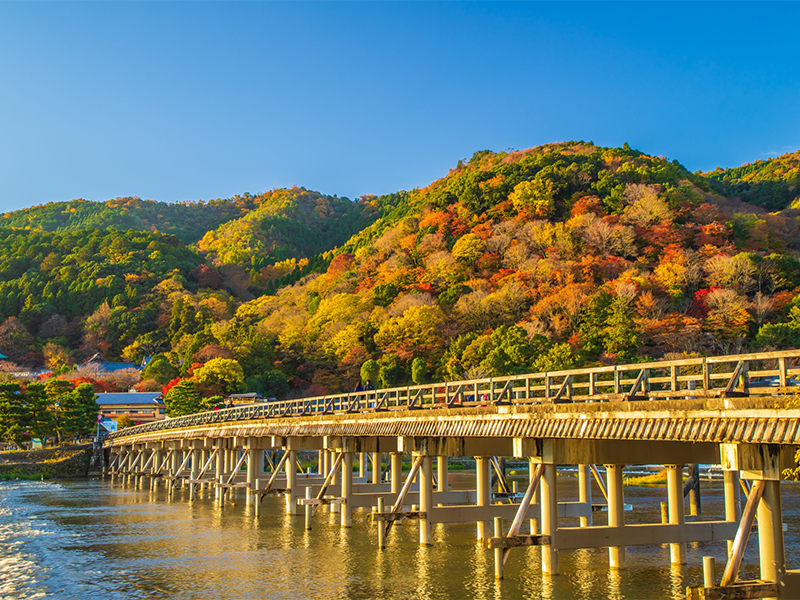 【嵯峨】考古学者・山田先生と、600年前の地図でめぐる幻の巨大都市・嵯峨～天下龍門に朱雀大路！角度の違いが時代の境目、中世都市が甦る～