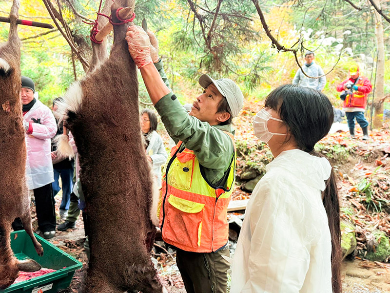 【花脊】野生の鹿を獲って、捌いて、喰らう！猟師さんと狩猟体験＆ジビエBBQ～京の秘境、狩猟の現場へ！一頭まるごとシカ解体、古民家で大自然をいただく～