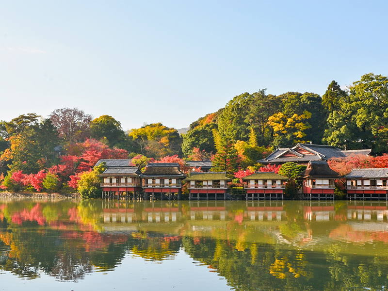 【錦水亭】京数寄屋の究極形へ！開店前に特別案内＆幻想の池座敷を堪能せよ～近代和風建築の代表作、八条宮家の水上庭園、秋尽くし懐石に舌つづみ～