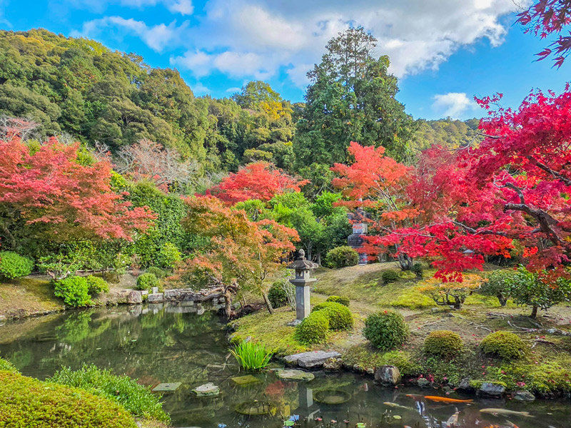 【光雲寺】非公開寺院を特別貸切、南禅寺管長と錦秋が包む七代目植治の名庭へ～運慶の聖観音、天才庭師・疏水の池泉庭園、ミニ坐禅体験とお茶菓子付き～